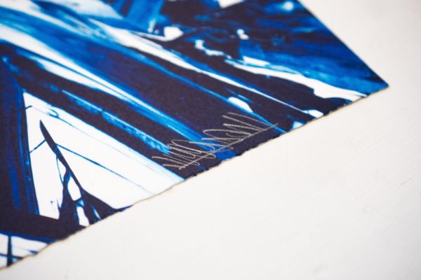 splitting-horizon-no-10-meguru-yamaguchi-print-them-all-lithograph-signature-limited-edition